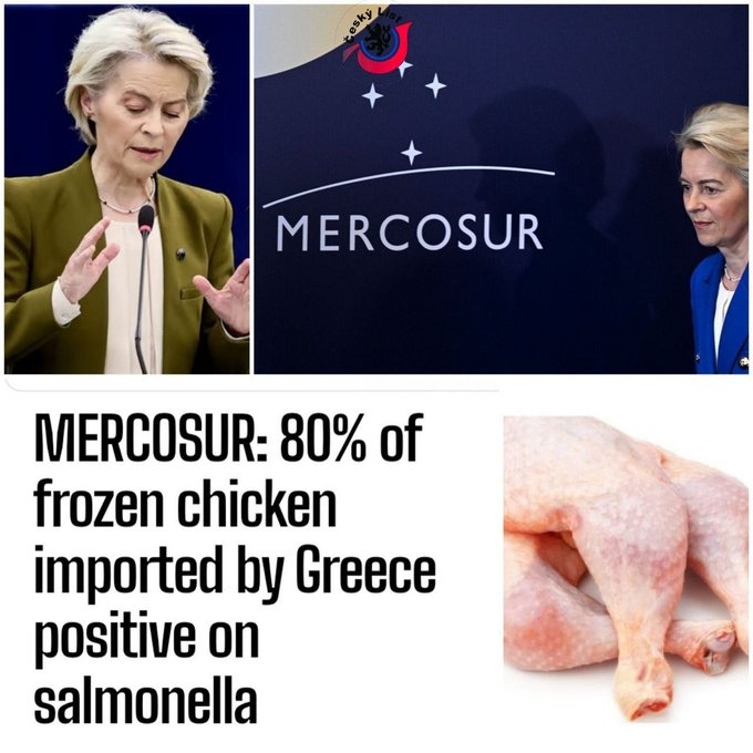 Tak první šmakuláda v rámci prasárny Mercosur už dorazila a hned ve velkém stylu 🙀80 % první šarže kuřat dovezených do Řecka z Jižní Ameriky v rámci obchodní dohody MERCOSUR s Leyenovou bylo kontaminováno salmonelou.Takže díky EUkolaboranti