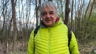 Vlaštovičník: zapomenutý poklad z přírody 🌼