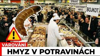 Billa, Lidl, Albert & Kaufland: Hmyz V Potravinách – Tyto Složky Odhalují Pravdu