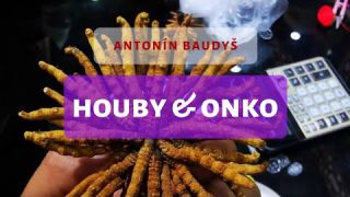 Houby & Onko