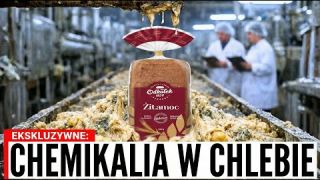 Vyhýbej Se Těmto 7 Značkám Chleba Za Každou Cenu (A 2 Které Bys Měl Jíst)