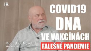 Bez názvu