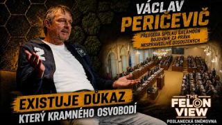 Spravedlnost pod mikroskopem | HOST: Václav Peričevič, předseda spolku Šalamoun